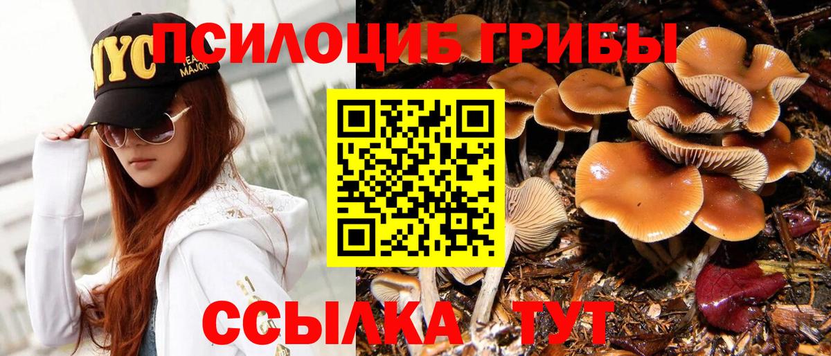 Псилоцибиновые грибы GOLDEN TEACHER Карталы