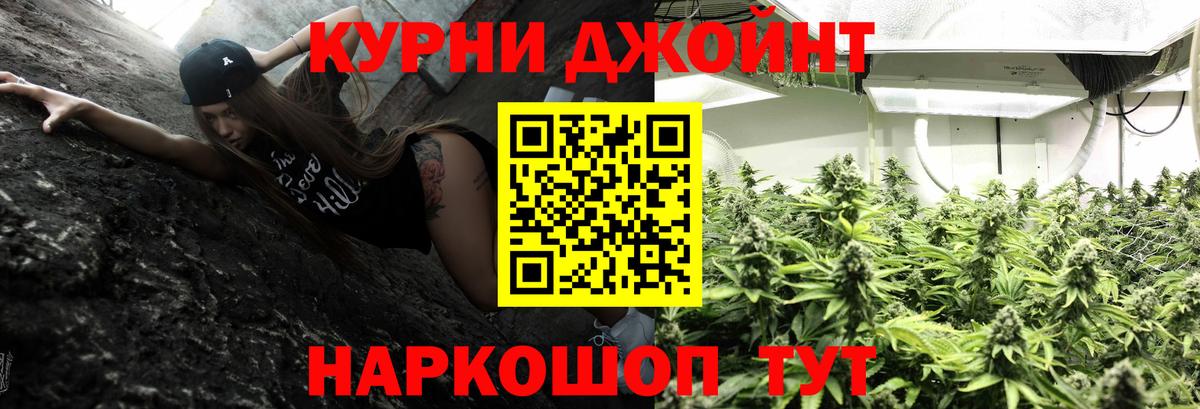 Каннабис сатива  Вход с VPN  Карталы  Канабис планчик  Канабис Amnesia 